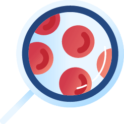 magnifying glass